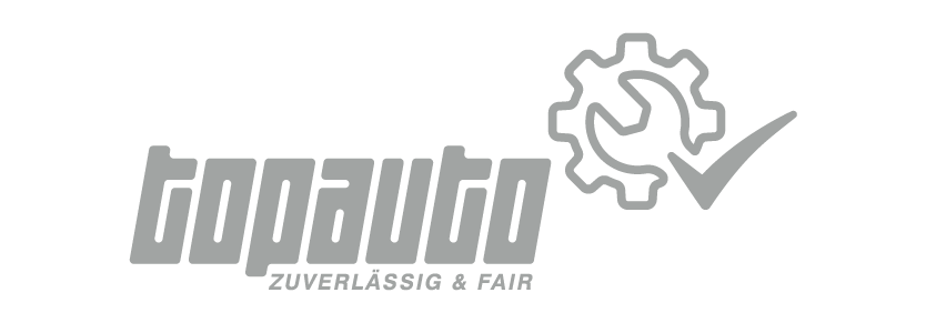topauto logo
